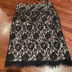 Banana Republic Lace Skirt Sz 0